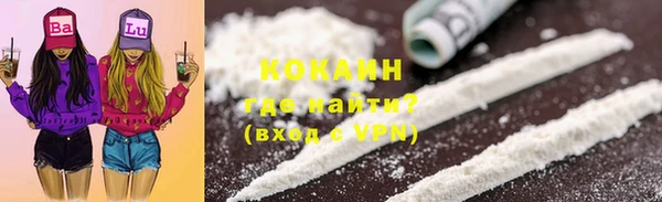 крисы Пересвет