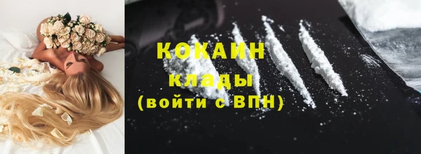 хмурый Покров