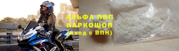 эйфоретик Бородино